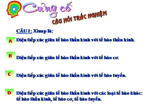 TN-Dẫn truyền xunh thần kinh (ST)