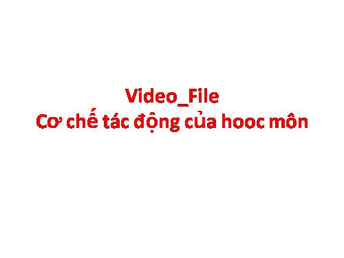 Video- tac dong cua hoocmon _ File nen