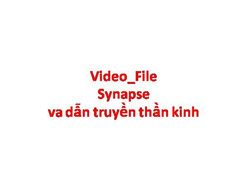 Video- Sysnap và dẫn truyền xung thần kinhFile nen