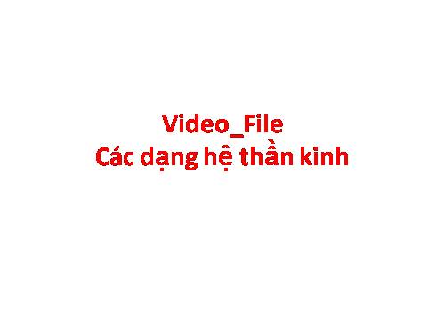 Video- Các dạng hệ thần kinh_ File nen