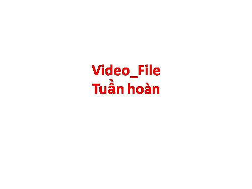 Video- Tuần hoàn File nen