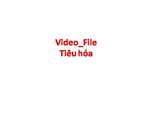 Video- Tiêu hóa File nen