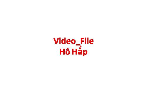 Video- Hô hấp File nen