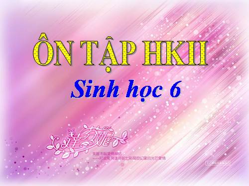 ÔN TẬP SINH HỌC 6