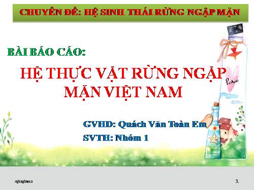 Rừng Ngập Mặn Cần Giờ