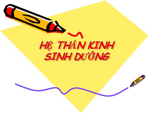 Hệ Thần Kinh