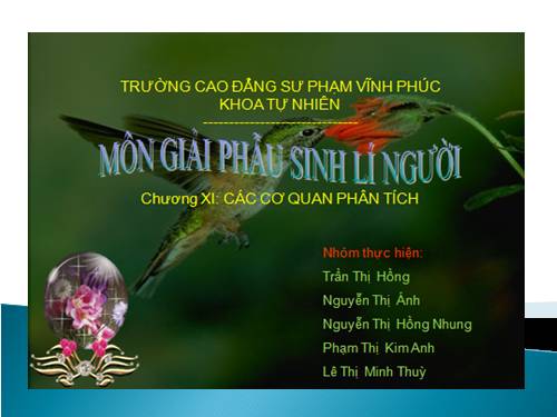 chương X: Cơ quan phân tích thị giác