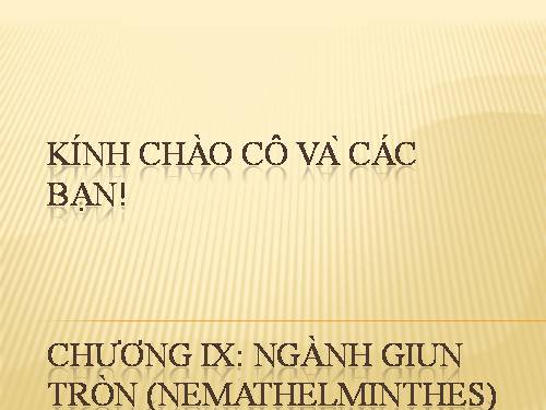 ngành giun đũa