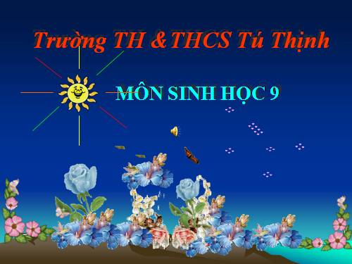 Tiết 49 - Quần thể người - Sinh học 9