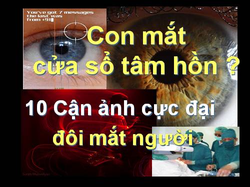 con mắt cửa sổ tâm hồn, ảnh cận