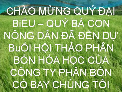 SẢN XUẤT