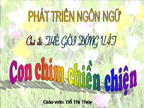 con chim chiền chiện