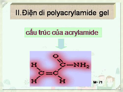 Điện Di Polyacrylamide Gel