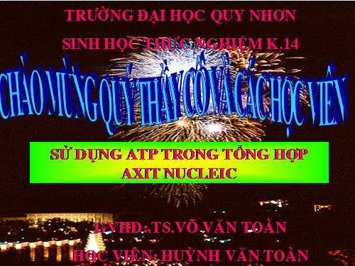 nang luong sinh hoc 2012 p8