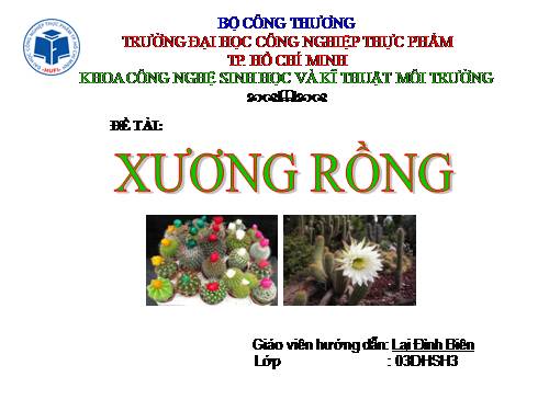 Đa dạng Xương rồng