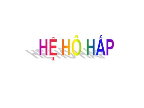 Hệ hô hấp