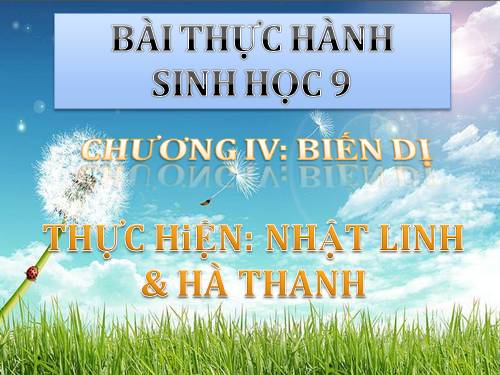 Bài thực hành sinh học chương biến dị