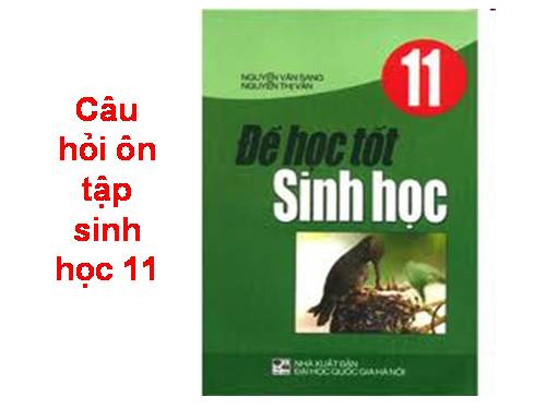 Câu hỏi ôn tập sinh học 11