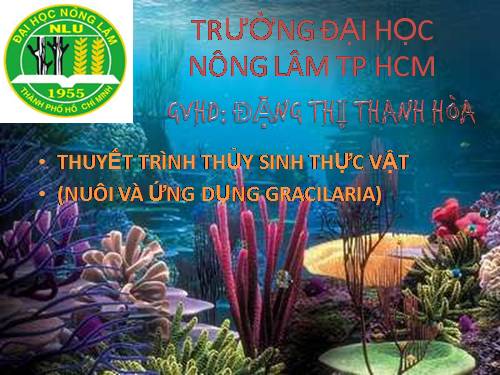 thủy sinh thực vật