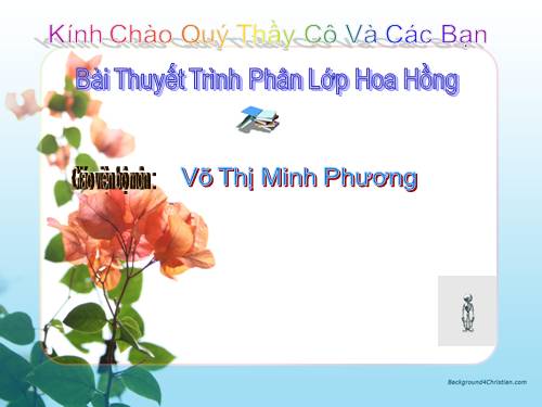 Phân Lớp Hoa Hồng