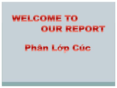 phân lớp cúc