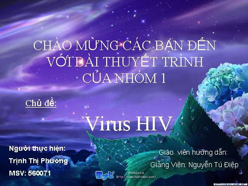 Chuyen đề Virus HIV