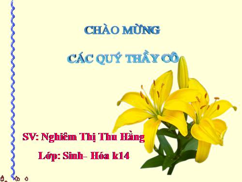 Tính Chất Hóa Học Hidro