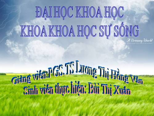 Bổ Thể