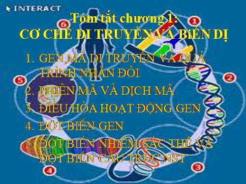 chương 1