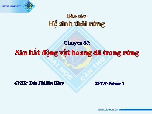 Săn bắt động vật hoang dã trong rừng