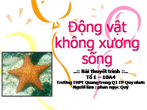 dong vat khong xuong song