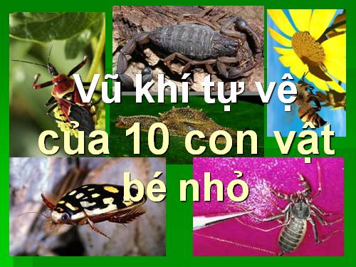 vũ khí tự vệ của 10 con vật bé nhỏ