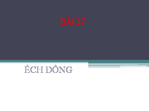 bai 37