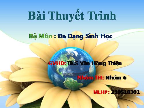 Bảo Tồn Đa Dạng Sinh Học ở Việt Nam