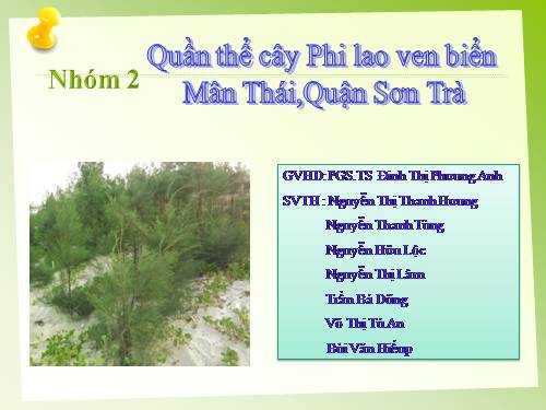 Quan the phi lao ven bien