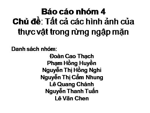 thực vật trong rừng ngập mặn