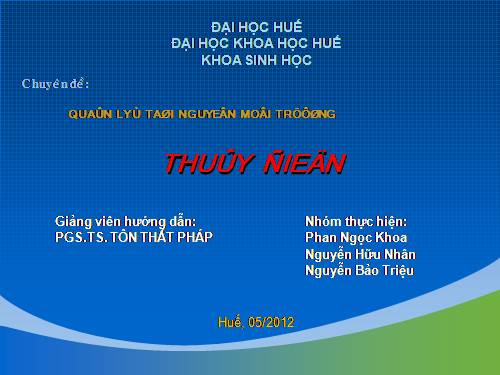 Tiểu luận Thủy điện Việt Nam