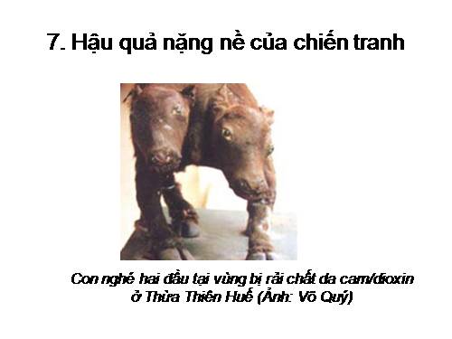 Hậu quả chiến tranh ở VN