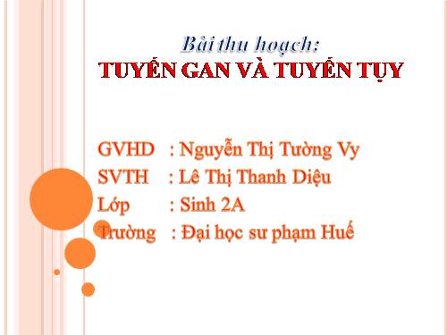 tuyến gan & tuyến tụy