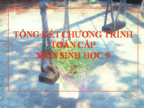 Tiết 68,69,70 Tổng kết chương trình toàn cấp