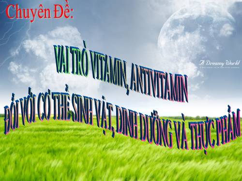 Vitamin và Thực Phẩm