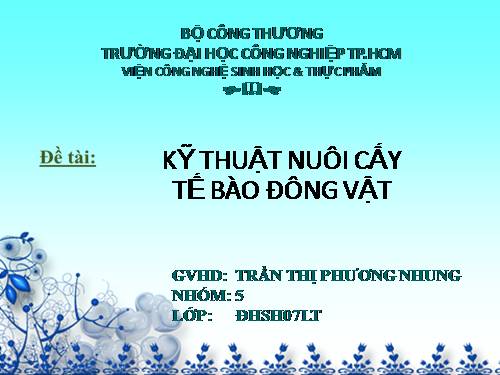 kỹ thuật nuôi cấy tế bào động vật