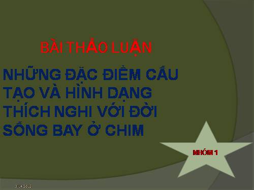 su bay cua chim