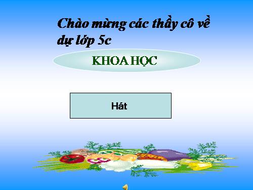 bai giang mon khoa hoc