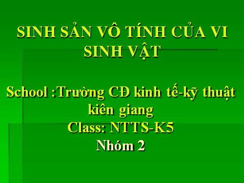 sinh sản vô tính của vi sinh vật