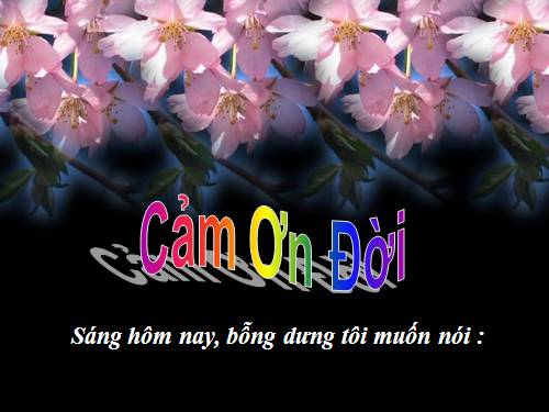 Cảm ơn đời