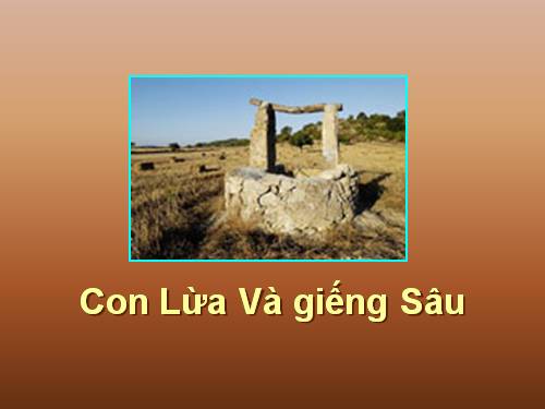 Con lừa và giếng sâu