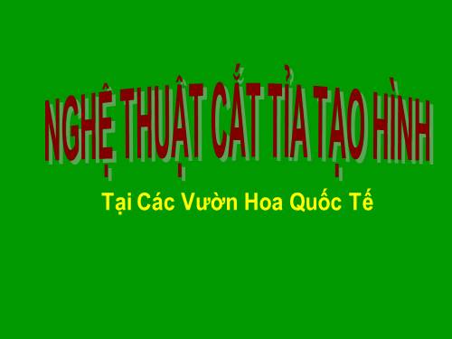 Nghệ thuật tạo hình hoa kiểng