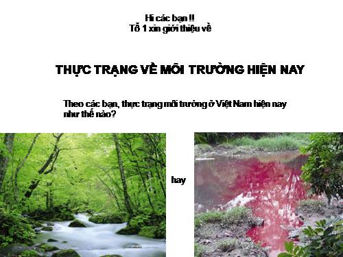 thuc trang moi truong hien nay