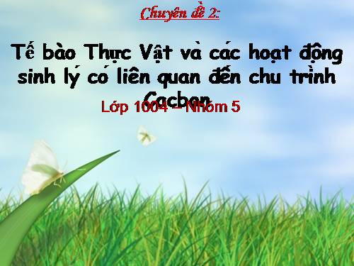 tế bào thực vật và các quá trinh sinh lý liên quan đến chu trình Cacbon